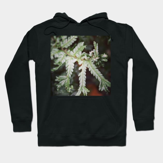 Spiky fern Hoodie by Jonesyinc